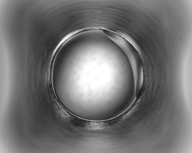 X0000085751052200703161050