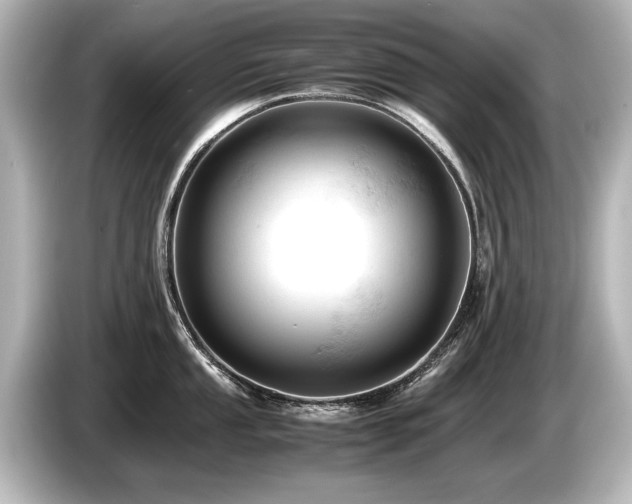 X0000085751053200703161050