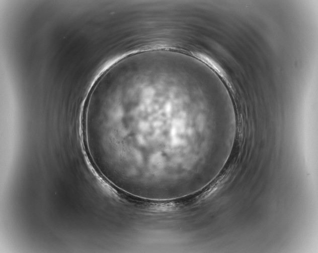 X0000085751055200703161050