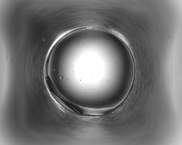 X0000085751056200703161050