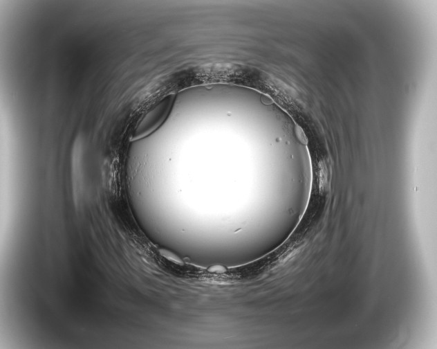 X0000085751059200703161049