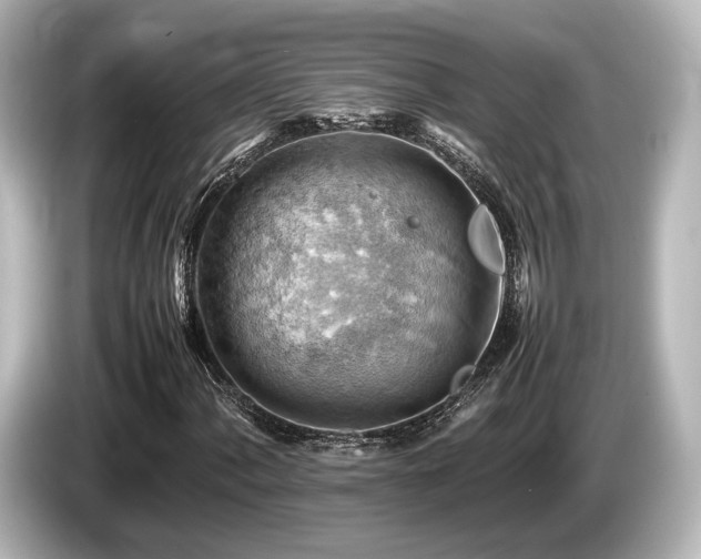 X0000085751060200703161049
