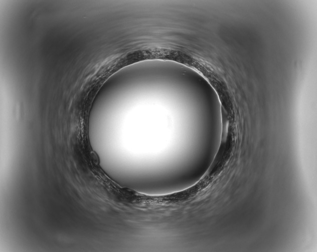 X0000085751061200703161049