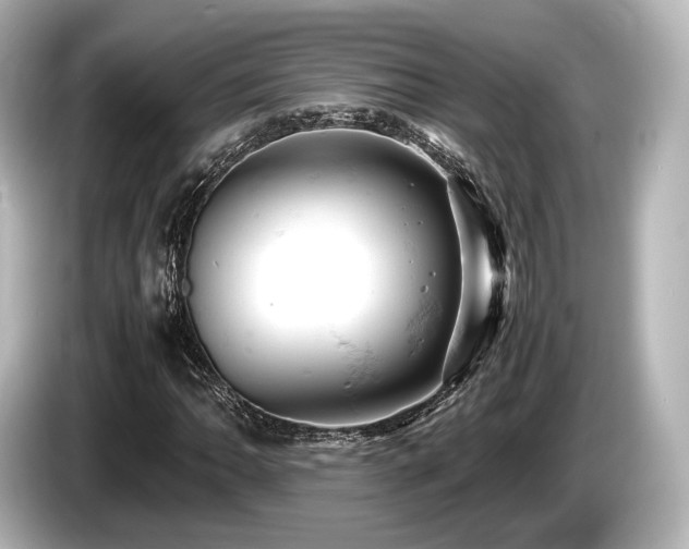 X0000085751062200703161049