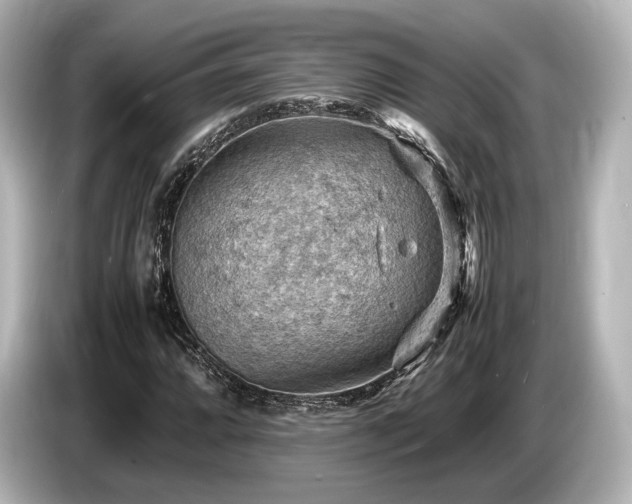 X0000085751064200703161049