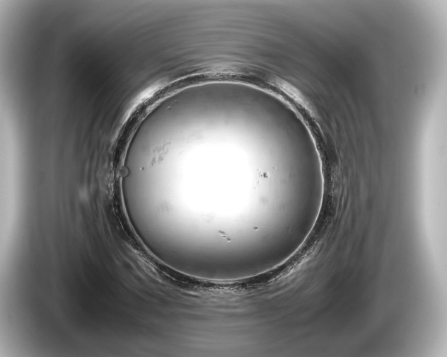 X0000085751067200703161049