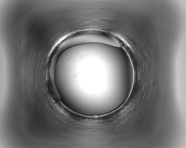 X0000085751069200703161049