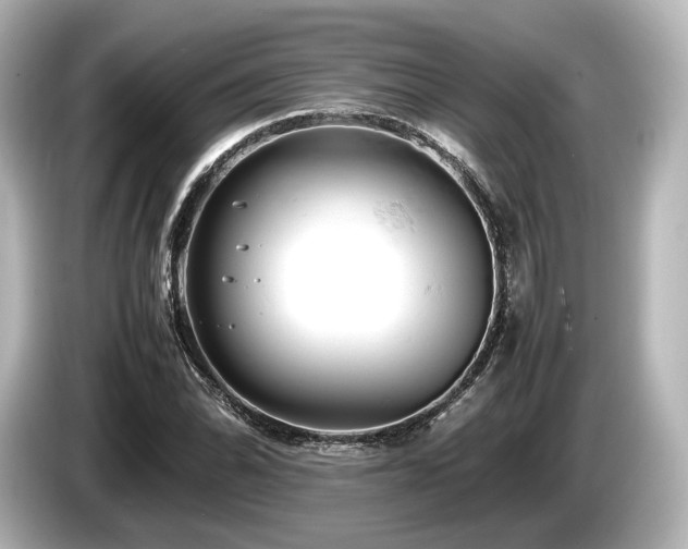 X0000085751070200703161049