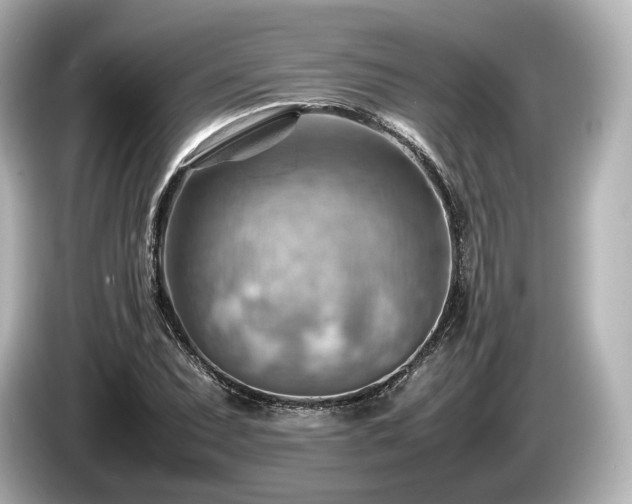 X0000085751071200703161049
