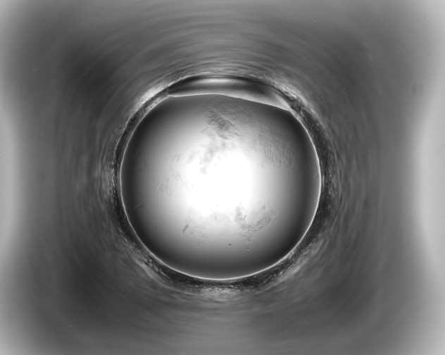 X0000085751073200703161049