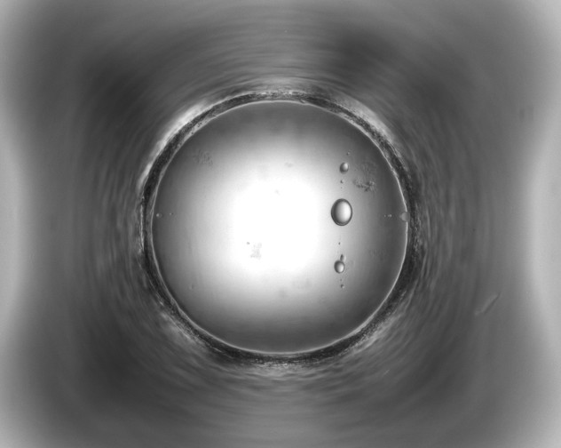 X0000085751075200703161049