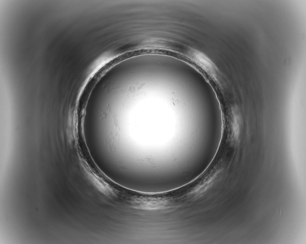 X0000085751076200703161049