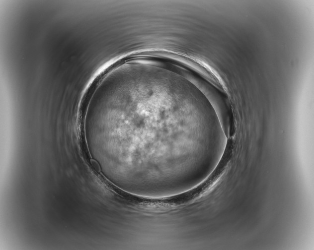 X0000085751077200703161049