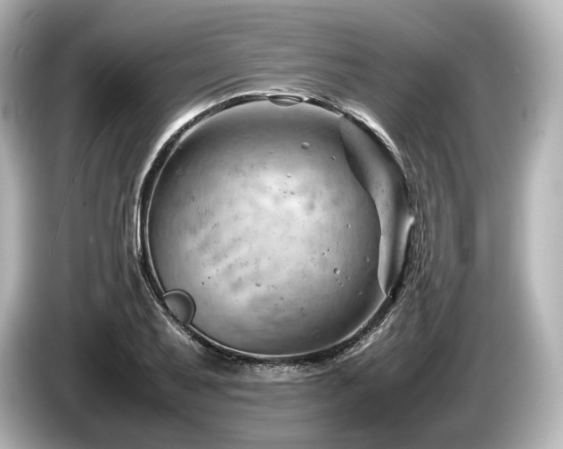 X0000085751079200703161049