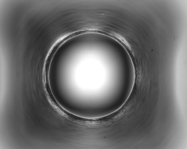 X0000085751080200703161049
