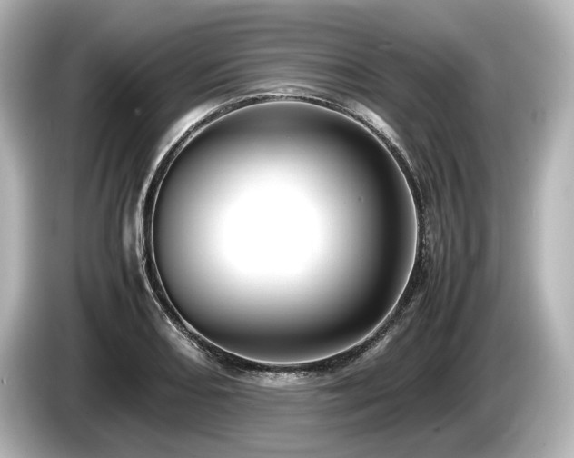 X0000085751082200703161049