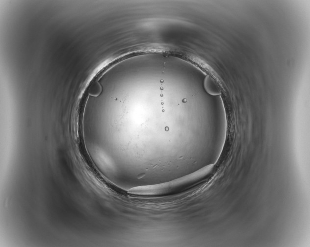 X0000085751083200703161049