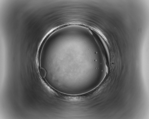 X0000085751084200703161049