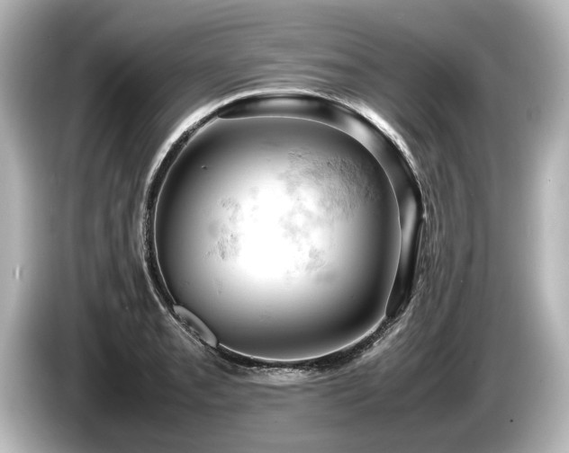 X0000085751085200703161049