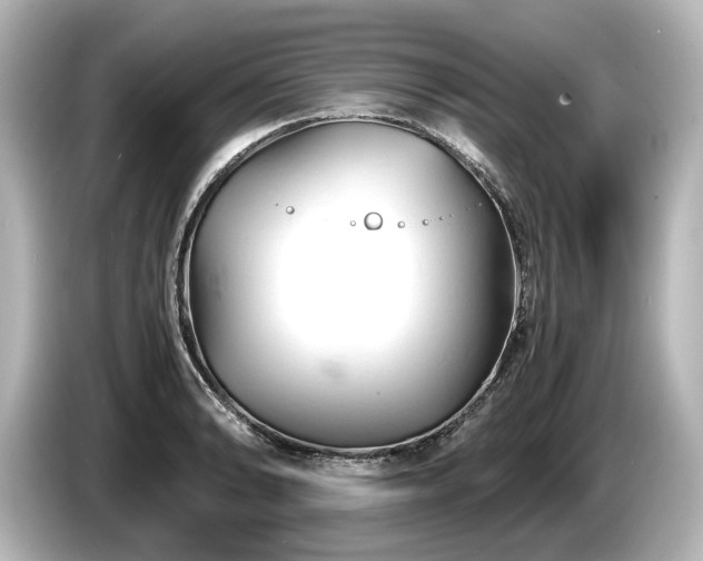X0000085751086200703161049