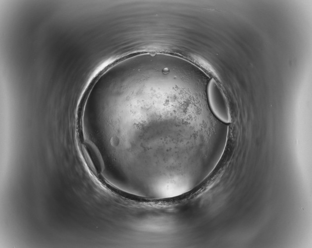 X0000085751087200703161049