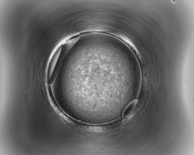 X0000085751088200703161049