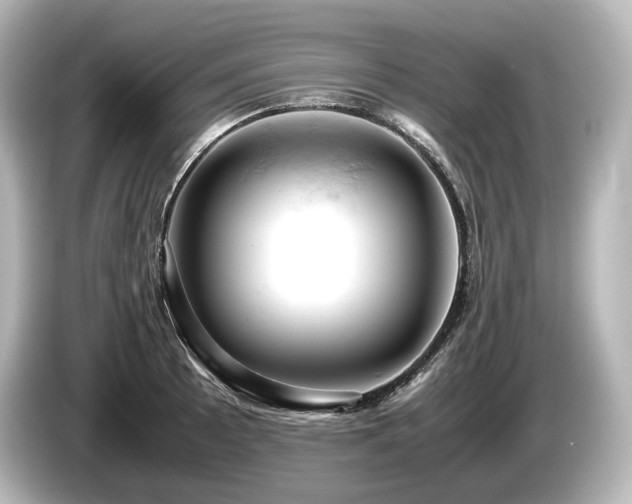 X0000085751089200703161049
