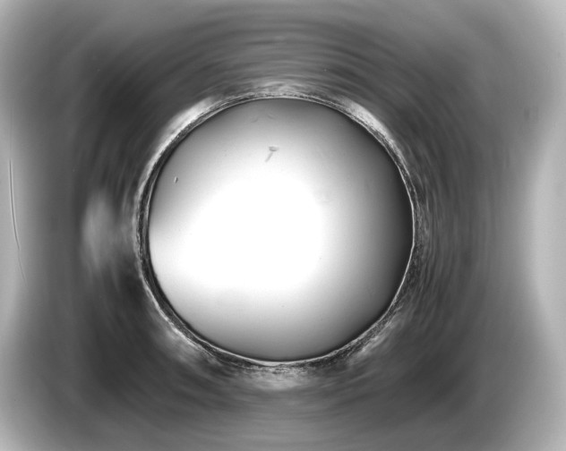 X0000085751090200703161049