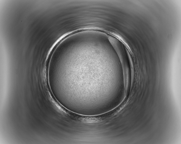 X0000085751092200703161049