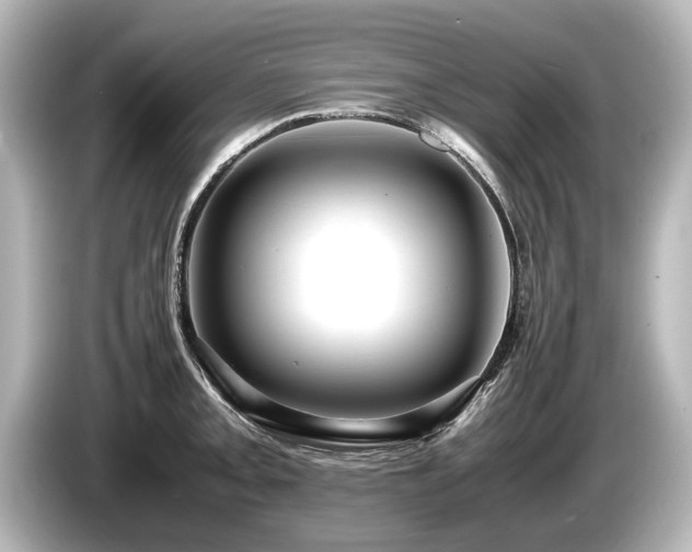 X0000085751093200703161049