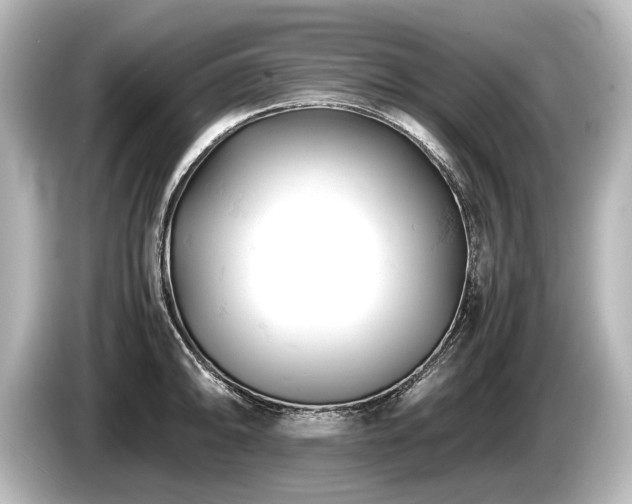 X0000085751094200703161049