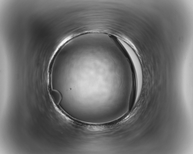X0000085751095200703161049