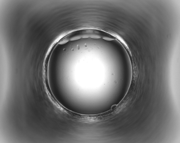 X0000085751096200703161049