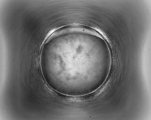 X0000085751097200703161049