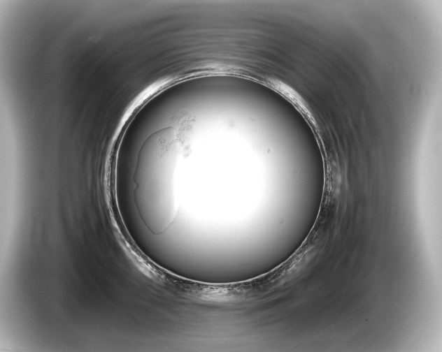 X0000085751098200703161049