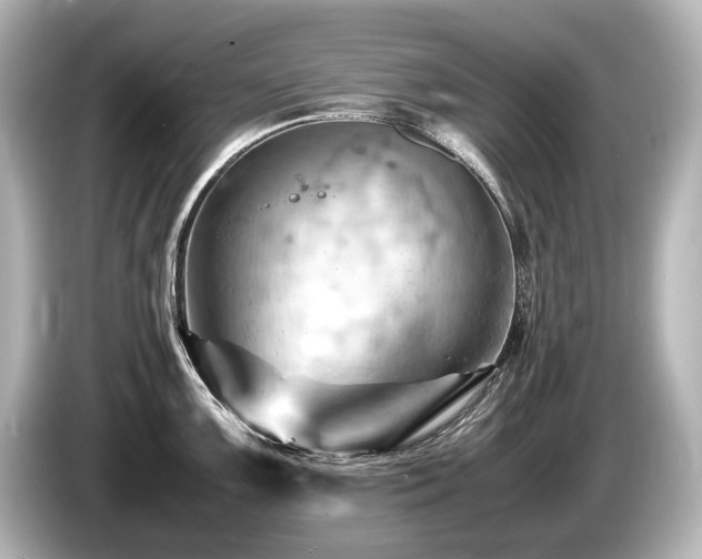 X0000085751099200703161049