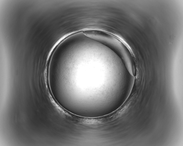 X0000085751100200703161049