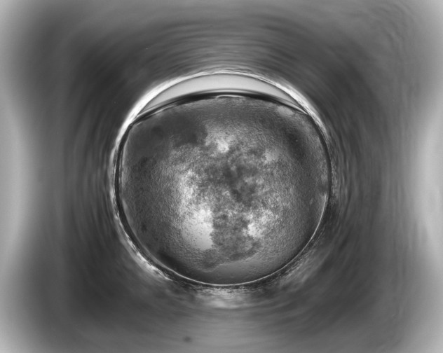X0000085751102200703161049