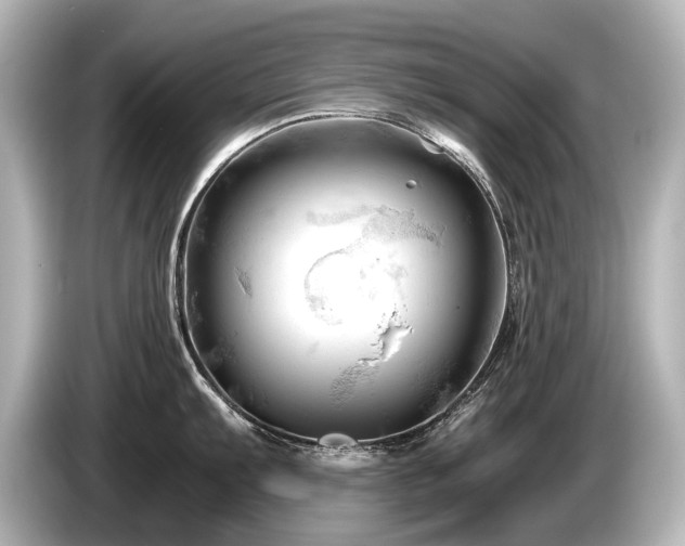 X0000085751103200703161049