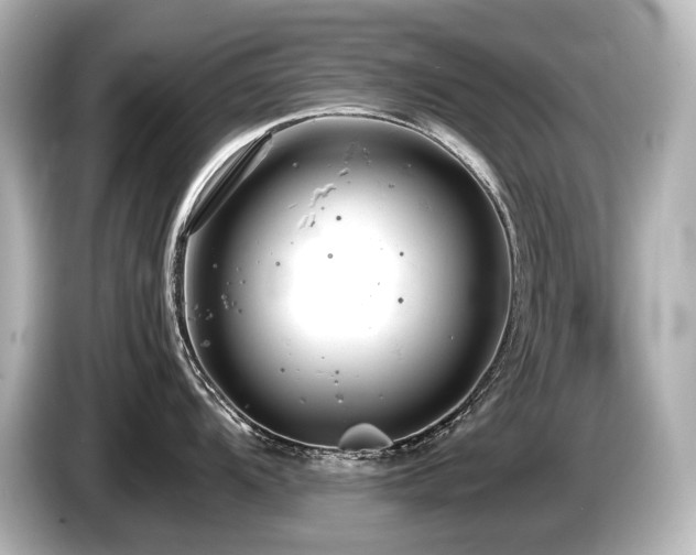 X0000085751104200703161049