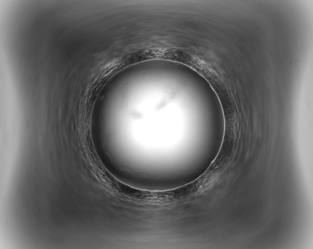 X0000085751105200703161048