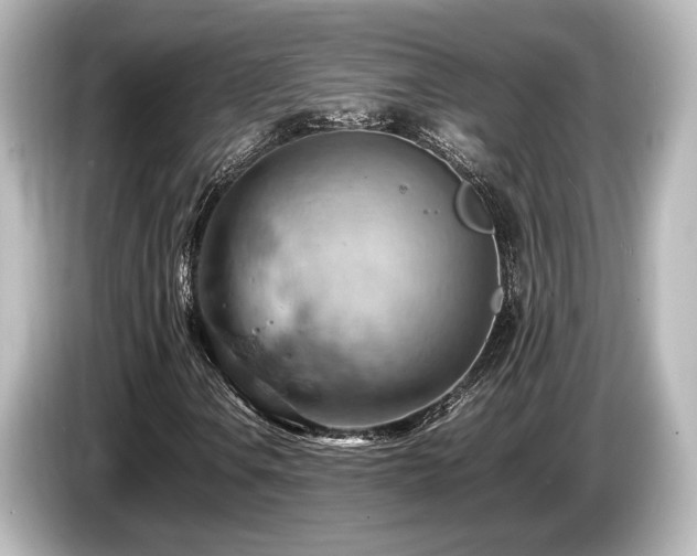 X0000085751106200703161048