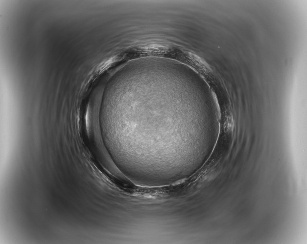 X0000085751108200703161048