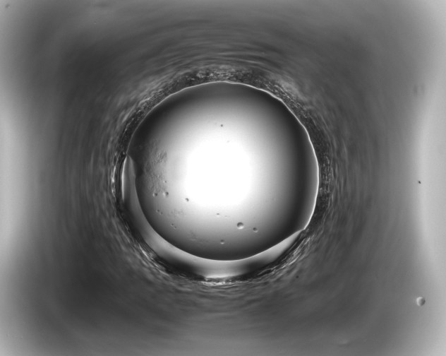 X0000085751109200703161048