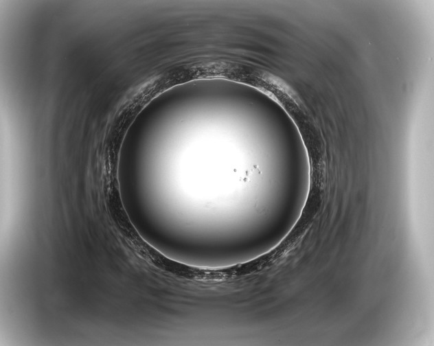 X0000085751111200703161048
