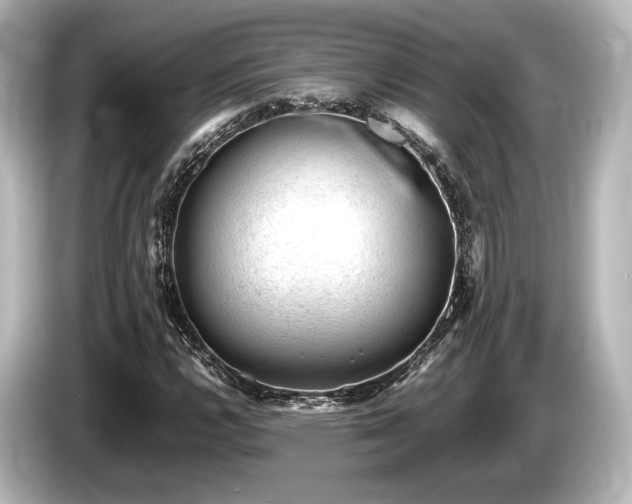 X0000085751112200703161048