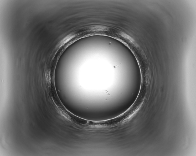 X0000085751113200703161048
