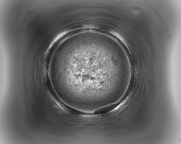 X0000085751115200703161048