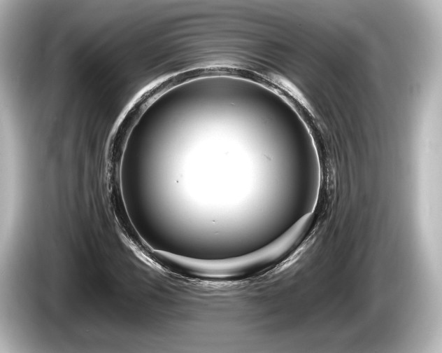 X0000085751116200703161048