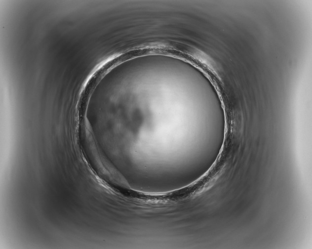 X0000085751117200703161048